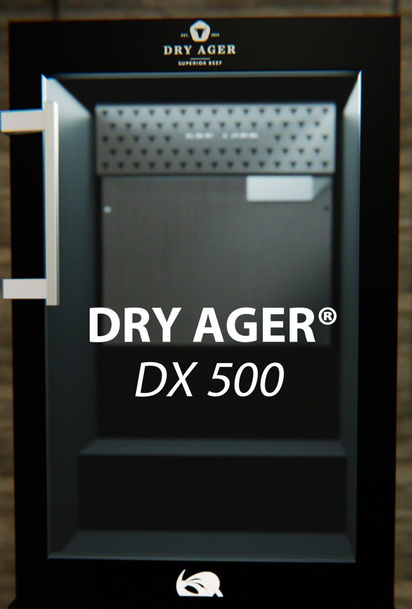 dry ager dx 500 cella per uso domestico